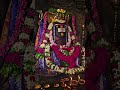 (36)thinam oru linga tharisanam#sivayanamaha #N$D #thiruvanamalai 👏 #sivayanamaha