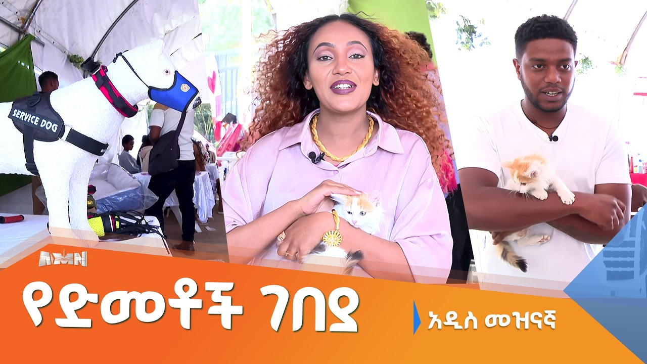 እንደ የዝርያቸው ዋጋቸውም ይለያያል