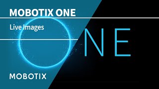 MOBOTIX ONE – Live Images Bird