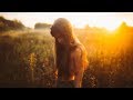 Lil Sokz - I'm Sorry 💔 (New Reggae Song 2020 / New Love Song 2020 / Chillstep Pop Reggae 2020)