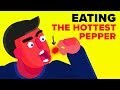 I Ate The Hottest Pepper In The World And This Is What Happened - Challenge