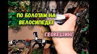 По непролазным болотам на велосипеде. Клад в геокешинге!