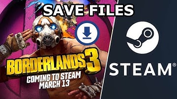 How to Install Borderlands 3 Game Saves on STEAM (and EPIC) - Borderlands 3 Tutorial