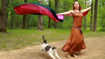 Symbolic Analysis of Relay and Switching Circuits (BipTunia video - human music / AI video)