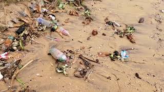 Pollution at the Wellawatta Beach Today (Etisalat Beach Clean Up, 2018)