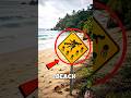 NEVER IGNORE THIS BEACH WARNING SIGN😱#trending #viral #shorts