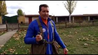 Introduction to the electric impulse collar screenshot 3