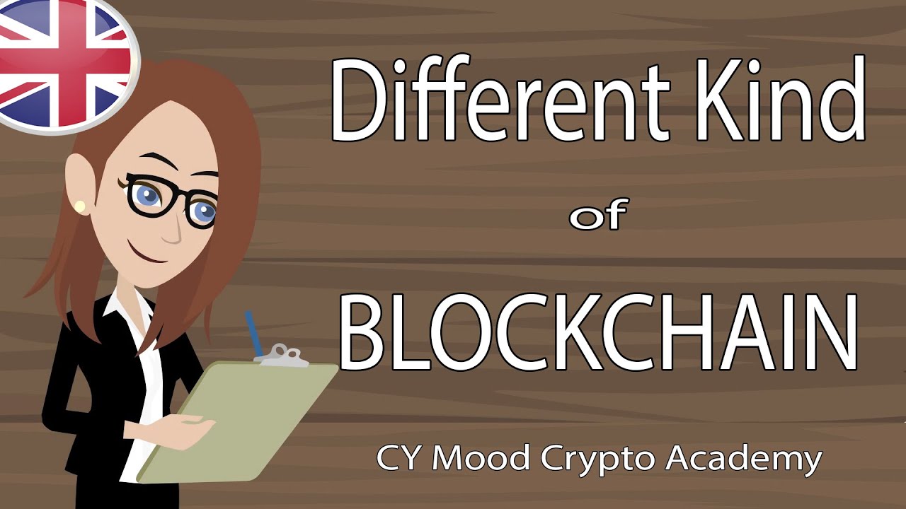 Different kind of Blockchain - Crypto Academy #11