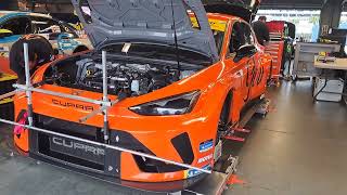 A first look at the brand new Spanish  Cupra Leon VZ TCR in the Michelin Pilot Challenge.