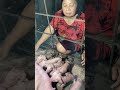 Vlog Babi lahir