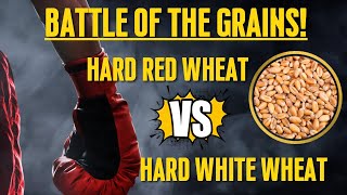 Differences Between Hard Red Wheat \u0026 Hard White Wheat | Which Wheat is Best?