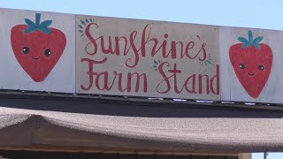 Eyewitness News Sunshine Farms in Fresno sees jump in customers wanting to pick their own produce