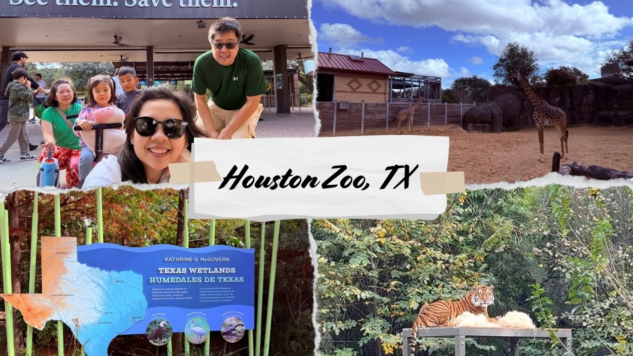 Houston Zoo Day Out | Train Ride & Zoo Experience