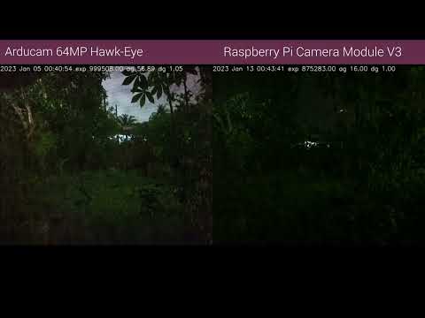 Raspberry Pi Camera Module 3 | Low Light Performance | vs Arducam 64MP Hawk-Eye |  Surveillance