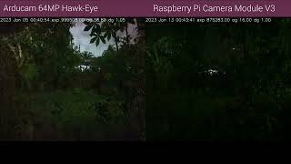 Raspberry Pi Camera Module 3 | Low Light Performance | vs Arducam 64MP Hawk-Eye |  Surveillance