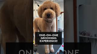 5 REASONS YOU SHOULD USE Furry Land