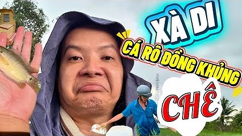 TRÚNG MÁNH CÁ RÔ ĐỒNG MÙA NƯỚC NỔI TÂY NINH 