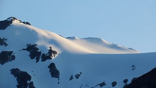 Cruising Southeast Alaska 2021