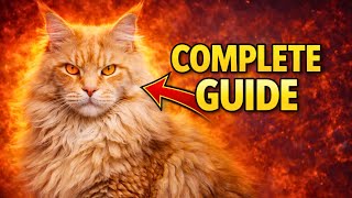 The MOST COMPREHENSIVE Guide On Maine Coons You'll Get