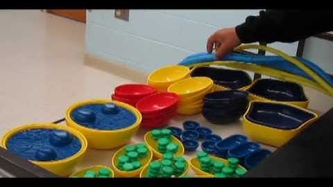 Introduction to the Dynamic Cell Models