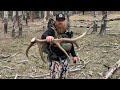 Backcountry Shed Hunting