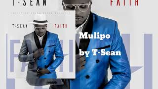 Mulipo - T-Sean