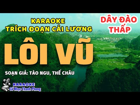 Karaoke Trích Đoạn Lôi Vũ II Dây đào thấp II Rất hay