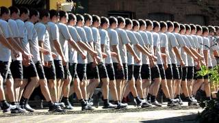 Movement Study Walk Bewegungsablauf Gehende Person