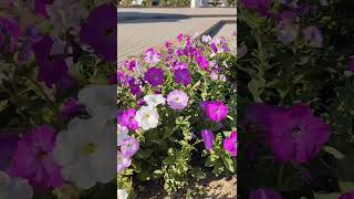 2/28 Откуда берутся токсичные мысли #самооценка   #душа #мотивацияивдохновение #любовь