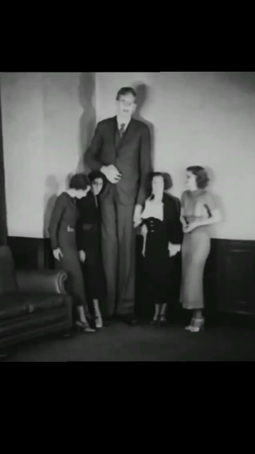 tallest man in history 🤯 #shorts - YouTube
