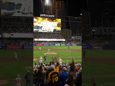 POV: You just watched Fernando Tatis Jr. hit his second homer of the game