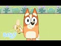 Bluey Games To Play Indoors | Bluey