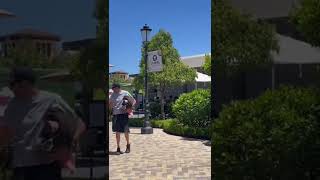 Strolling @Veranda Concord California #concordcalifornia #daddycool