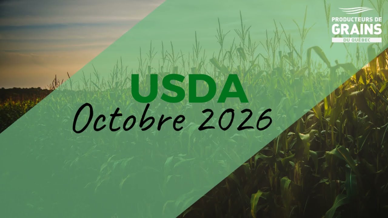 Faits saillants du rapport offre/demande de l'USDA