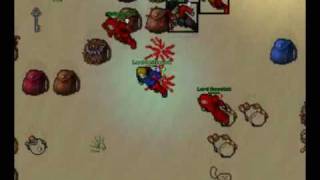 Tibia Test 2008.Lord`s Marathon Run