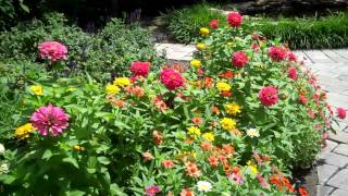 Near Gatlinburg, Tennessee is a luxury, romantic bed and breakfast