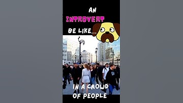 Life of an introvert! Funny meme #funnymemes #introvert #viralvideo #meme
