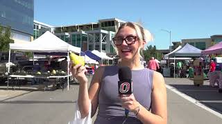 Omaha Farmers Market Wraps Up, but Farmers Work Year-Round