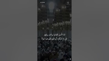 مقتطف من تلاوة الشيخ #محمد_برهجي من فجرية 18 شوال 1446هـ