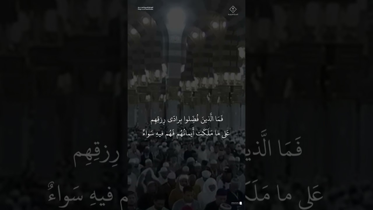 مقتطف من تلاوة الشيخ #محمد_برهجي من فجرية 18 شوال 1446هـ
