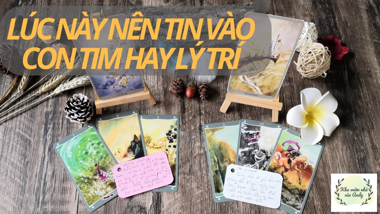 Lúc này nên tin theo lý trí hay con tim - Chọn 1 tụ bài Tarot - Alo Andy