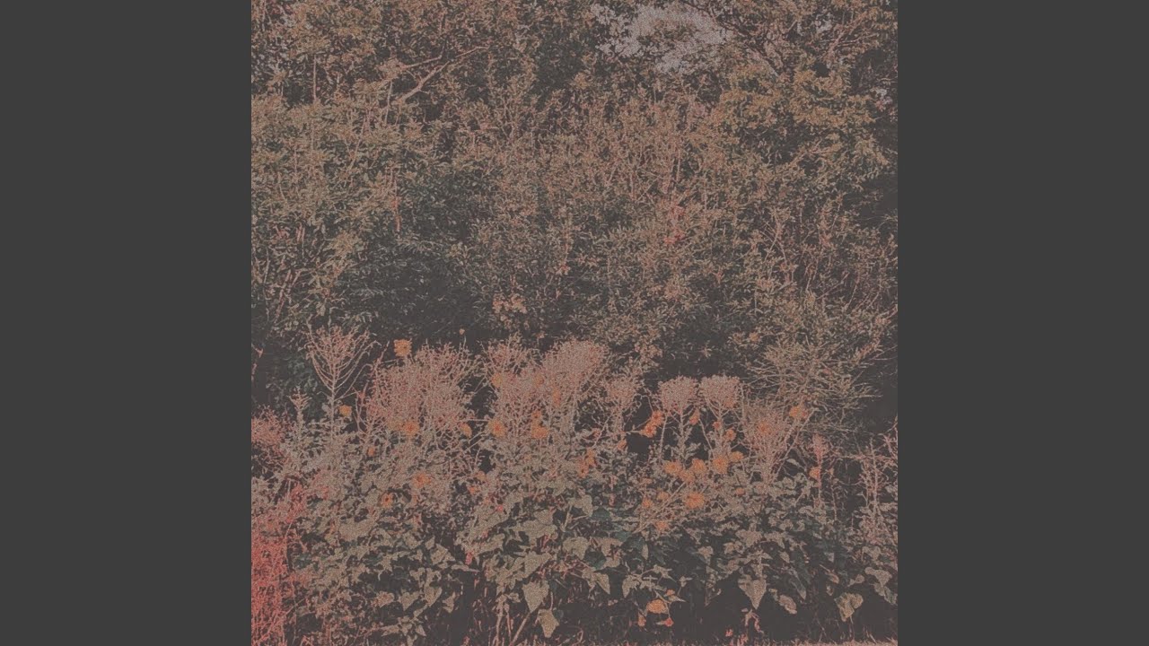 Watch Untitled IV on YouTube Watch Untitled IV on YouTube