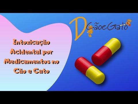 Vídeo: Intoxicação Medicamentosa Para Pulgas E Carrapatos Em Gatos