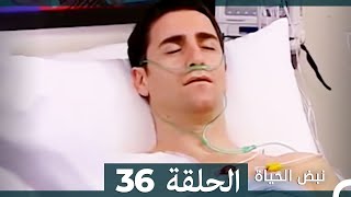 نبض الحياة - الحلقة 36 Nabad Alhaya