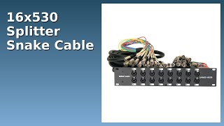 REVIEW (2026): 16x530 Splitter Snake Cable. Features.
