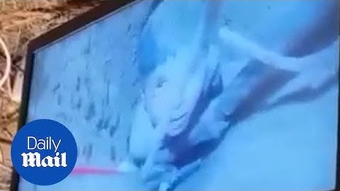 Moment 5-year-old is rescued from 100-foot-deep borewell