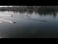 2019 IRA Championships - Saturday Semi-Finals