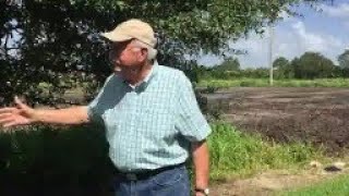 Video: Homeowner tries to save tree from developer's bulldozer