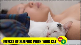 If You Sleep With Your Cat Every Night, THIS Will Happen by For Pet Owners 1,781 views 13 days ago 2 minutes, 53 seconds