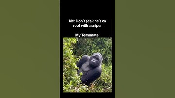 Everyone has that one teammate! #rust #memes #gaming